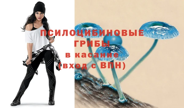 PSILOCYBIN Алексеевка