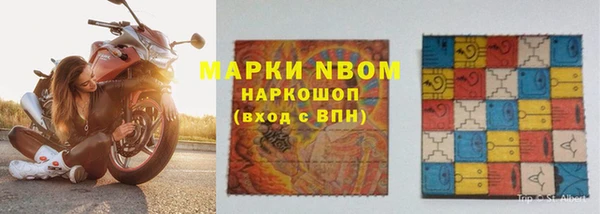 шишки Алзамай