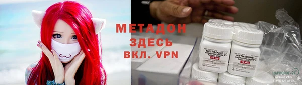 шишки Алзамай