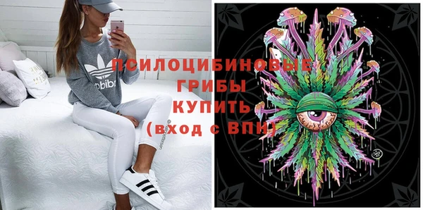 PSILOCYBIN Алексеевка