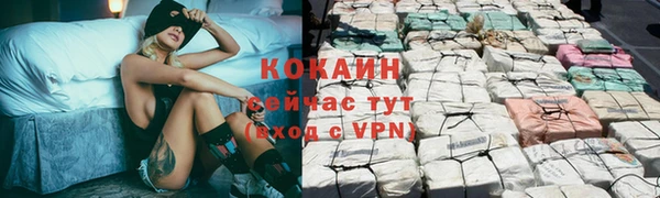 шишки Алзамай