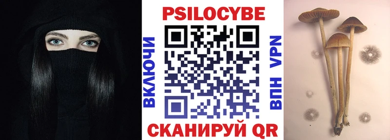 ссылка на мегу как зайти  Владивосток  Галлюциногенные грибы MAGIC MUSHROOMS 